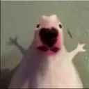 jit2