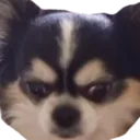 kkamisad