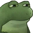 WorryFrogStare