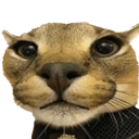 ch_Floppasup ch_Floppasup