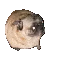 pugJAM