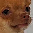 SadDog