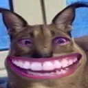 SCfloppateeth SCfloppateeth