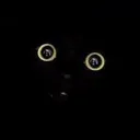 RWvoid