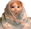 sadmeo2