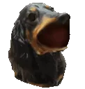 KillaBop