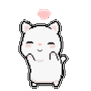 KK_dancingcat