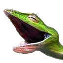 snekek_pottercord