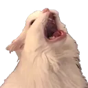 catThurston