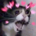happyCat