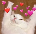 LoveCat