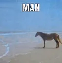 gx_horseman