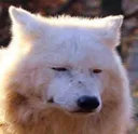 hrmph