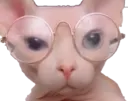 smartbingus smartbingus