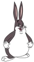 BigChungus