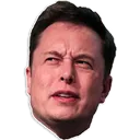 elon_confused