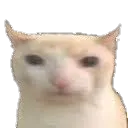 Bruh5