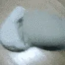 spinCat spinCat