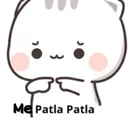 exe_patlapatla