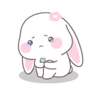 bunnyupset