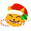 CatsairSanta