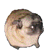 DancingDog Discord emoji