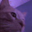 agatobaile Discord emoji
