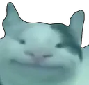 h_catwonk