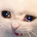 :cri: