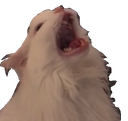 :AAAA: