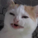 :ew: