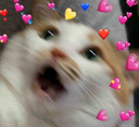 :Loveattack: