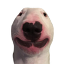 walterhappy Discord emoji