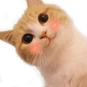 cat Discord emoji