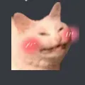 blushykitty