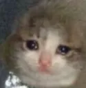 Sad Sad