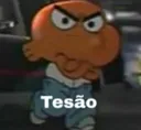 z_tesudoANR