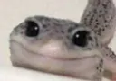 snakesmile snakesmile