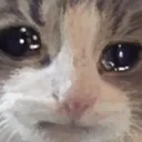 sadGrumpy Discord Emoji