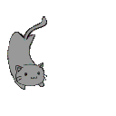 b_catspin Discord Emoji