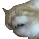 ACK Discord emoji