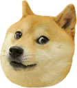 ConcernDoge