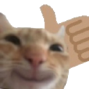 CatYes Discord emoji
