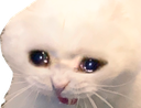 SadCat2 Discord emoji
