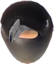AngryPenguin AngryPenguin
