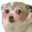 flustereddog Discord Emoji