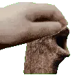 loggerPat