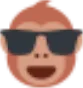 monkeSunglasses