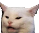catBleh