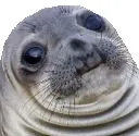 awkwardseal